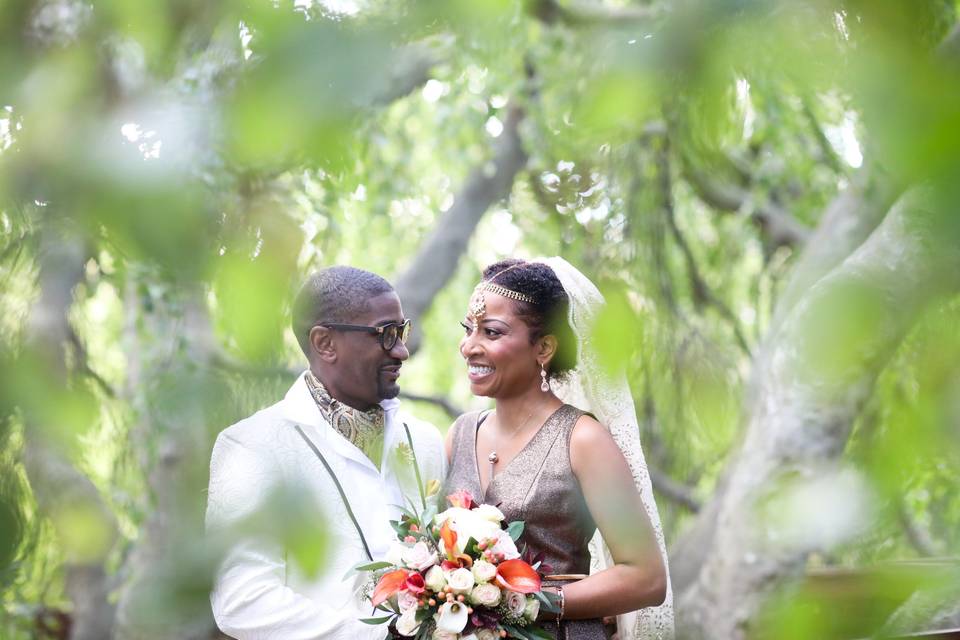 Harlem House Photography