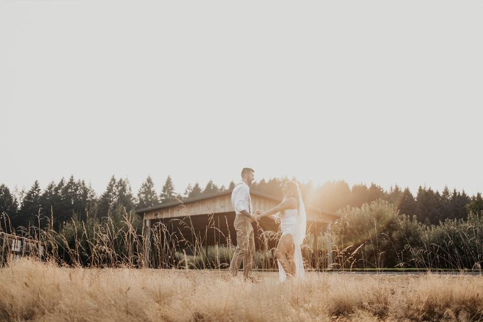 Sunset in a meadow