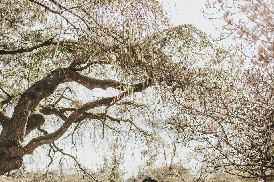 Slow dancing in a Seattle park