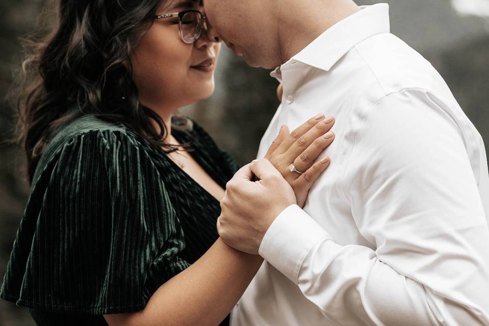 Mt. Rainier Engagement