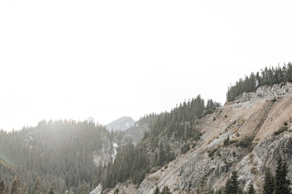 Mt. Rainier Engagement