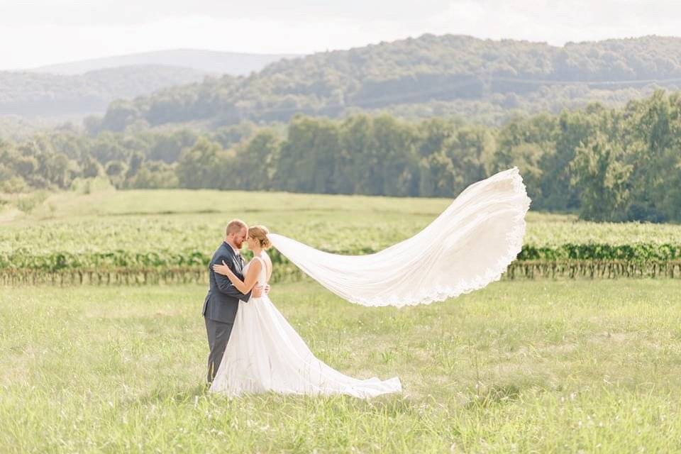 Vineyards in background