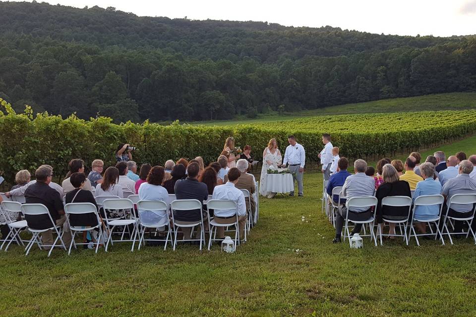 Ceremony in vineyard