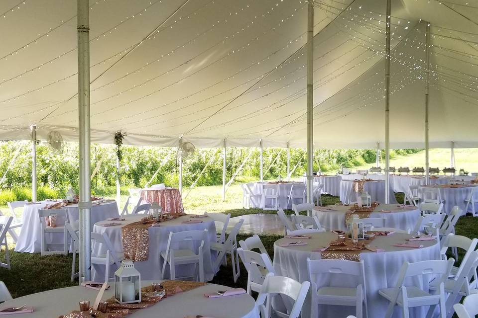 Tent by the vineyards