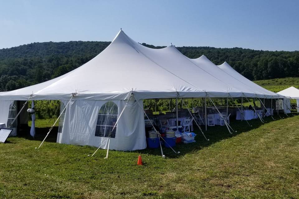 Tent by the vineyards