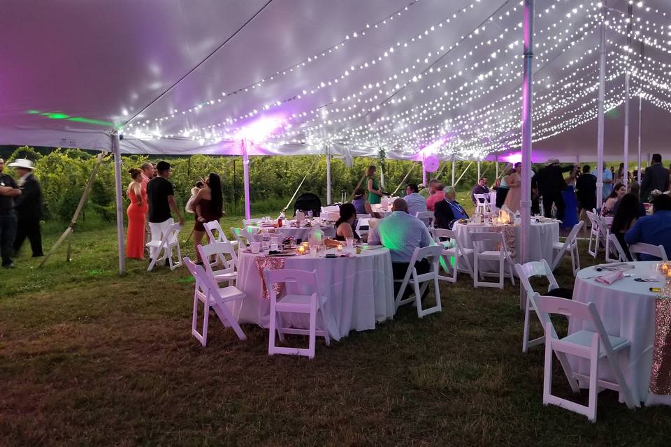 Reception tent by vineyards