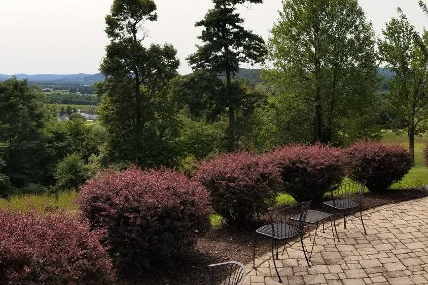 View from the terrace