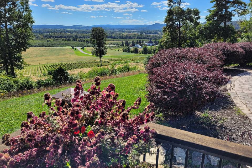 View from the deck