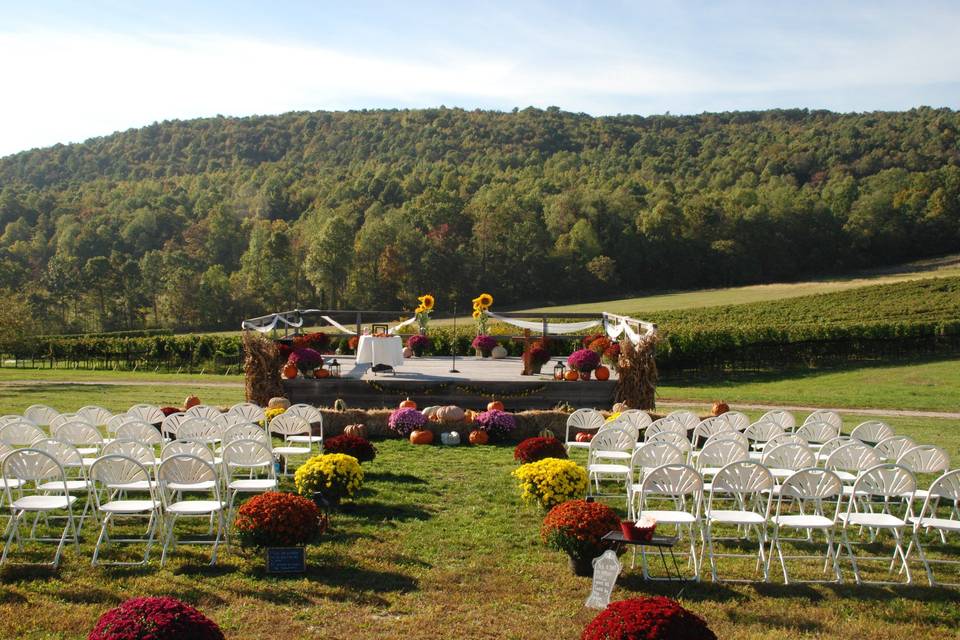 Stage ceremony with vineyards