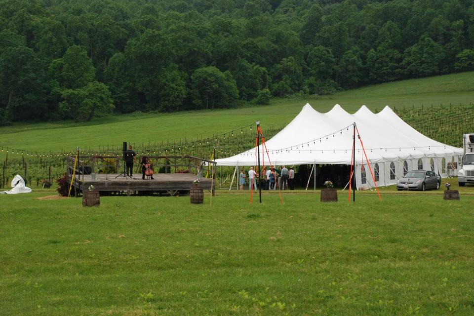 Tent beside vineyards