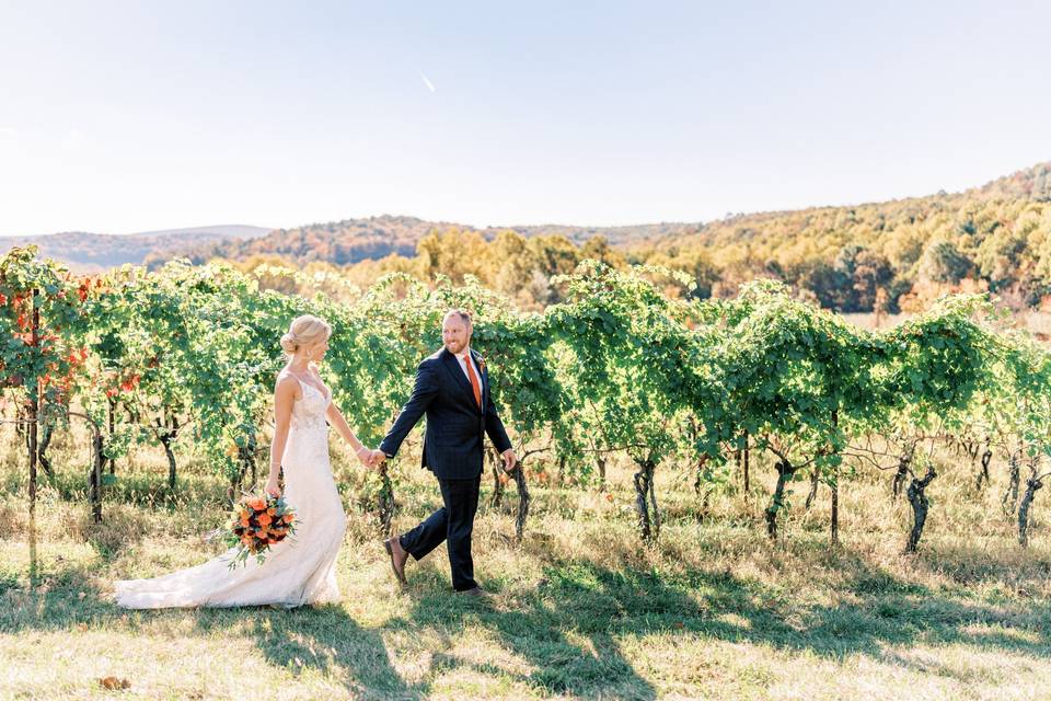 Walking by the vineyards