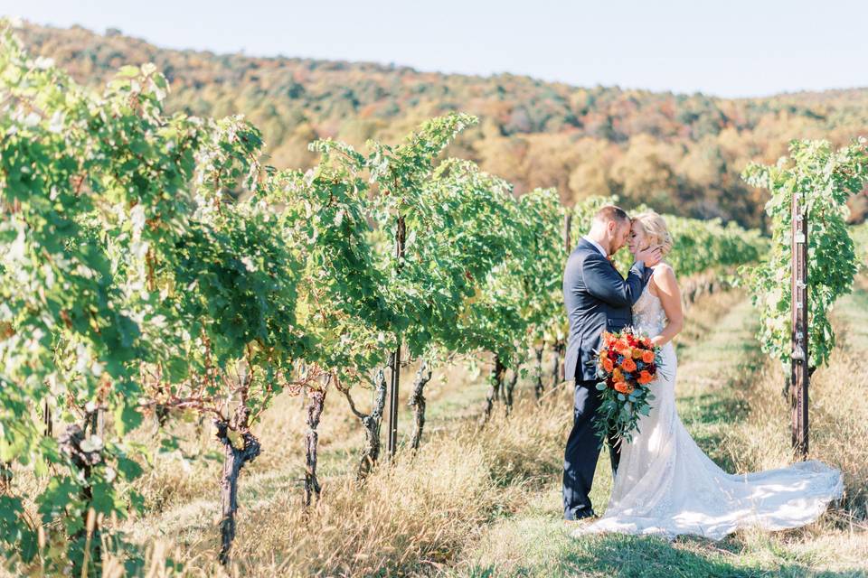 Couple in the vineyards