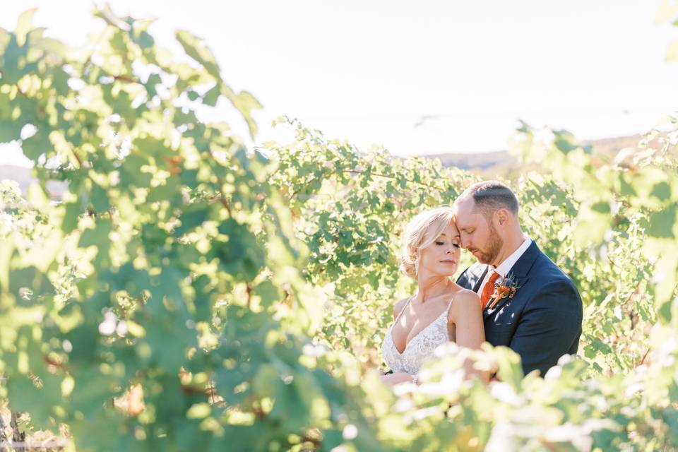 Couple in the vineyards