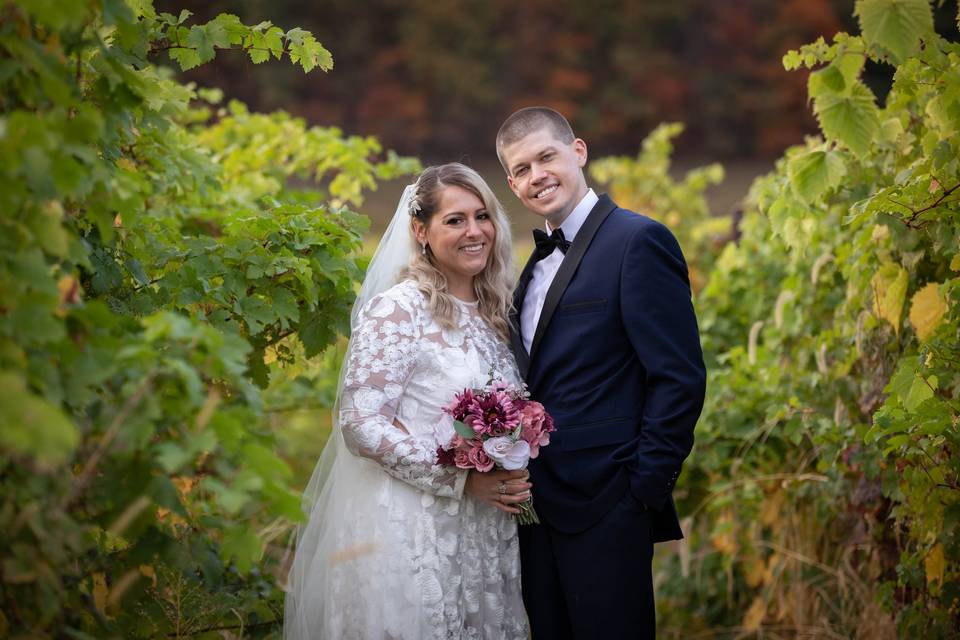 Vineyards in October