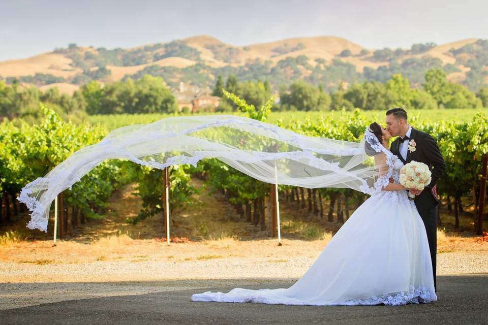 Vineyard Wedding