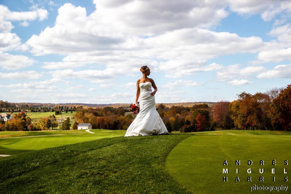 Andrés Harris Photography
