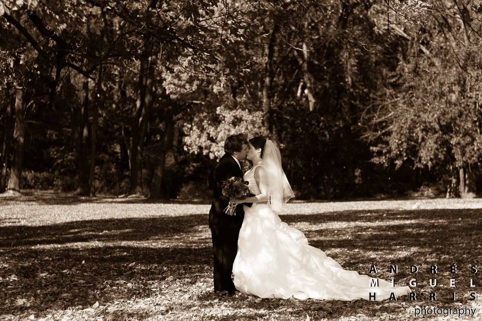 Andrés Harris Photography
