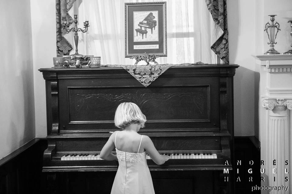 Andrés Harris Photography