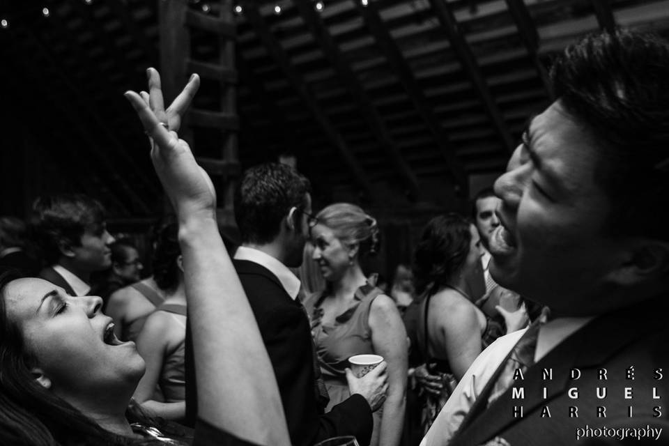 Andrés Harris Photography
