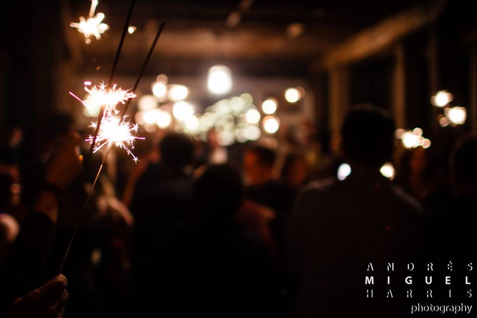 Andrés Harris Photography