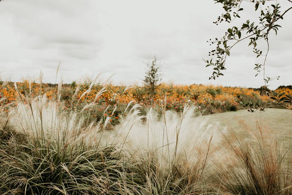 Ceremony yard in October