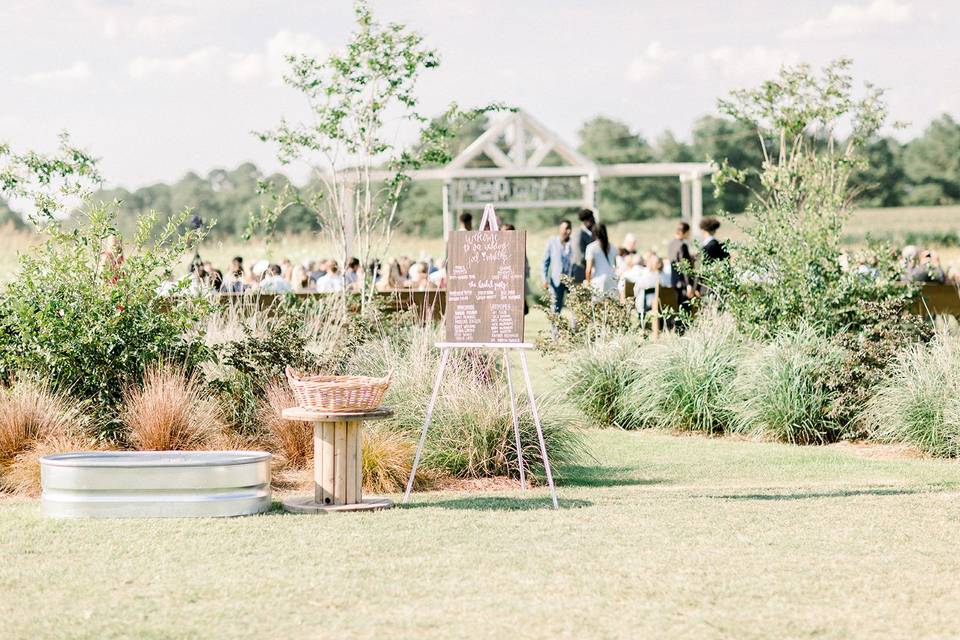 Arbor site in June