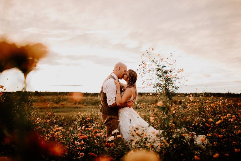 Wildflower field at sunset Oct