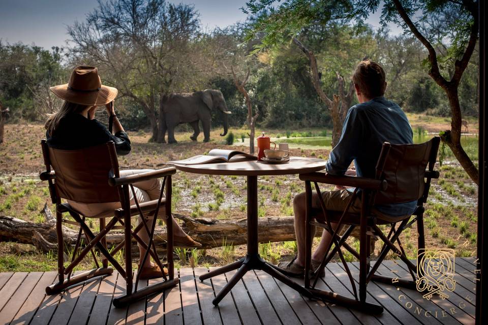 Honeymoon in Africa