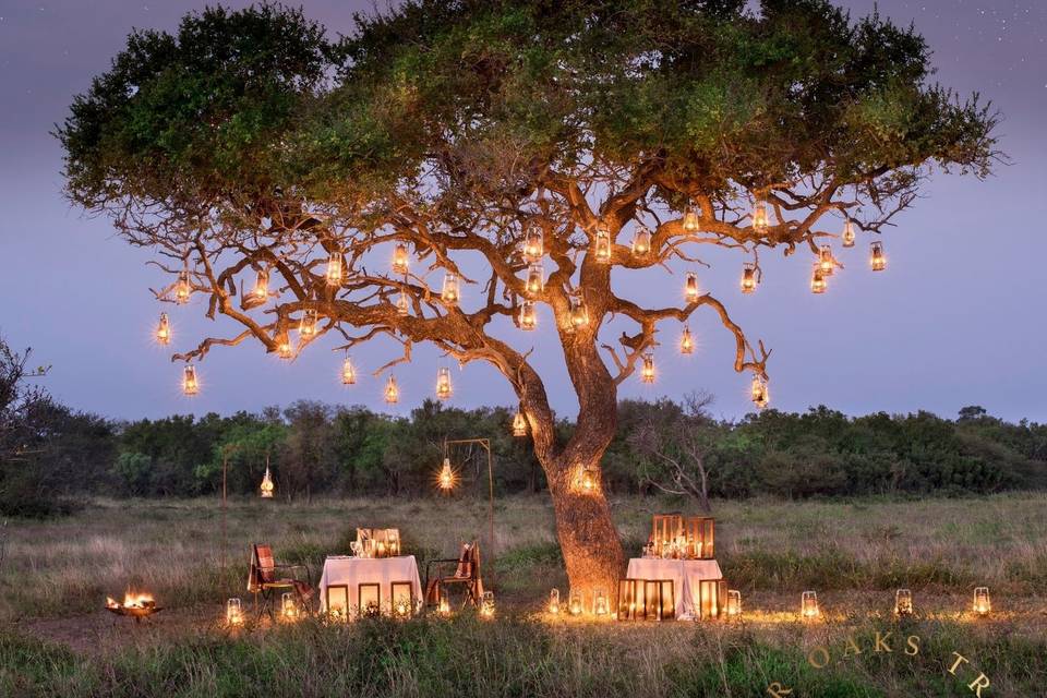 Romantic dinner in Africa