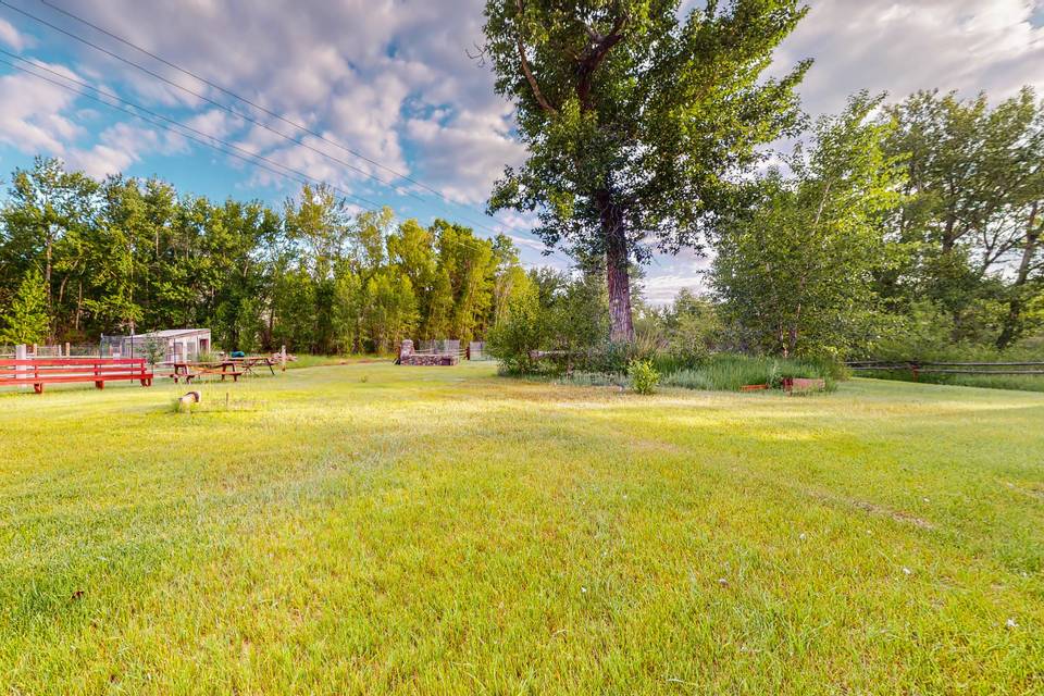 Side Yard/ BBQ Area