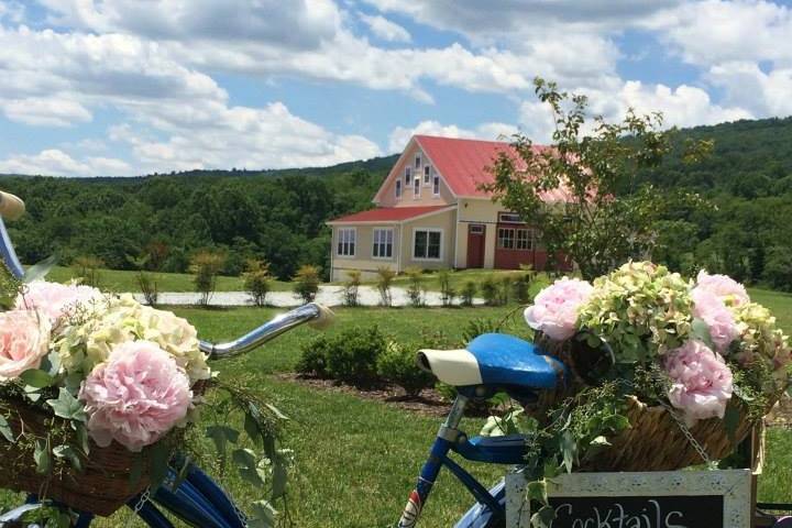 Blue bike