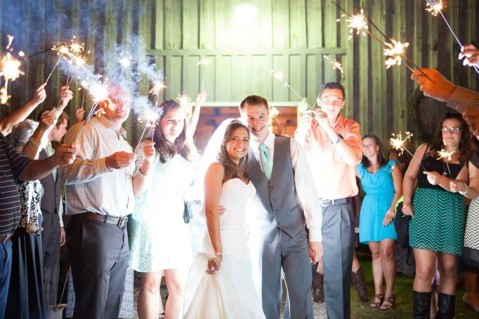 The couple with the bridesmaids and groomsmen