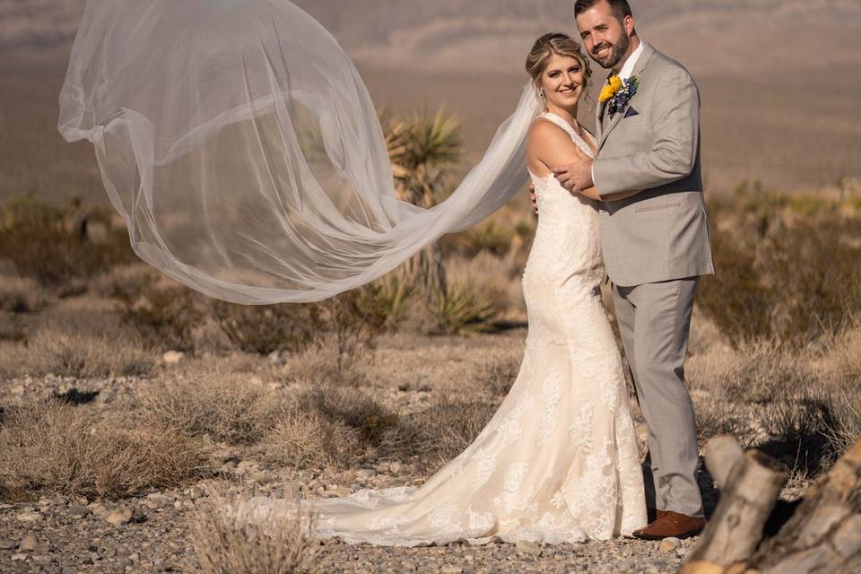 Las Vegas wedding photos