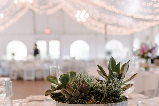 #marylandwedding