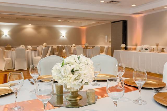 Elegant setup