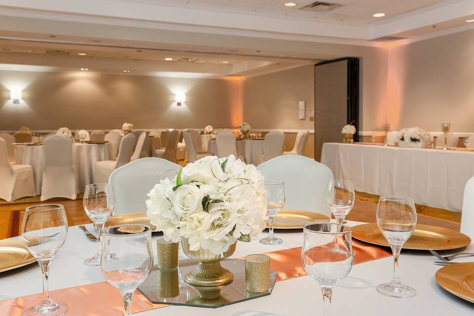 Elegant setup