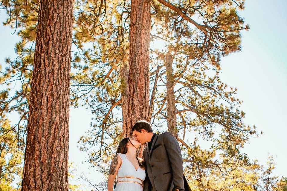 Woodsy elopement