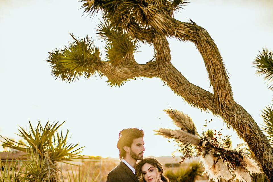 Joshua tree elopement