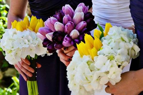 Callas Flowers