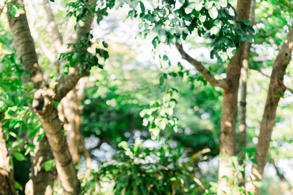 Bridal Portraits