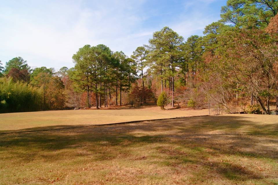 View of The Lawn