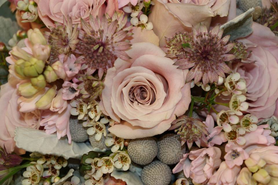 Blush flowers