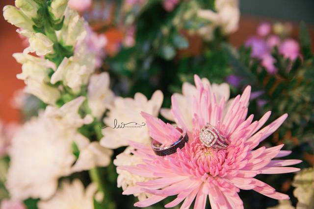 Lacey White Photography