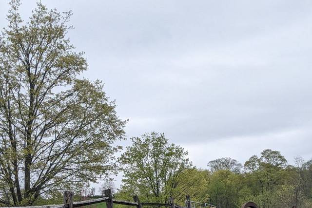 Spring