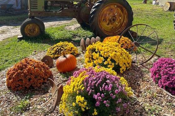 Tractor Photo Op