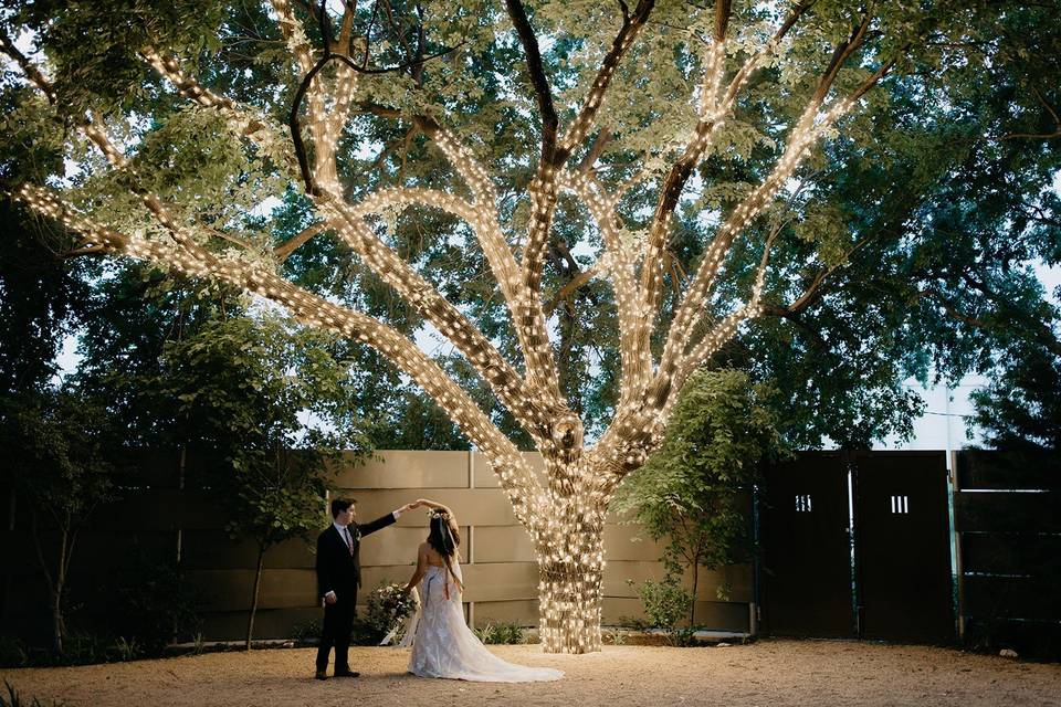 Dancing under the big tree