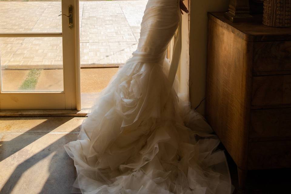 Vera Wang Dress Shot Murphys