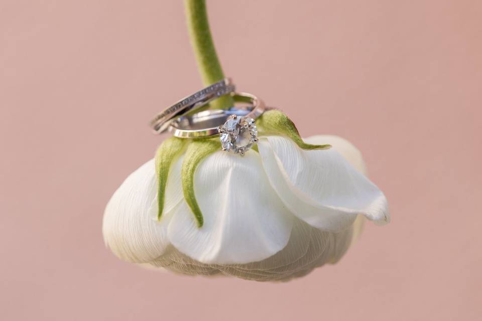Simple Ring Shot