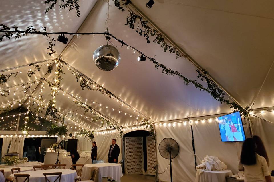 Tented celebration