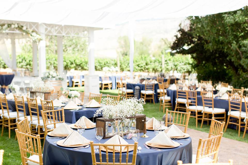 Outdoor reception setup